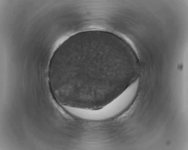 X0000090761373200708172039