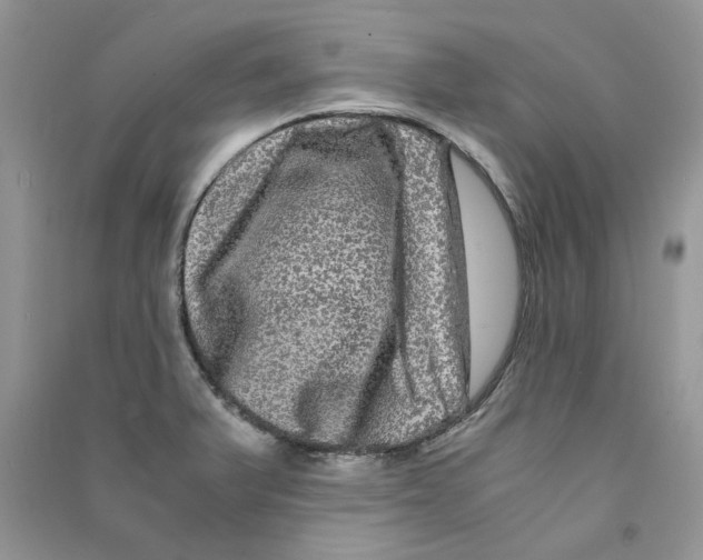 X0000090761375200708172039