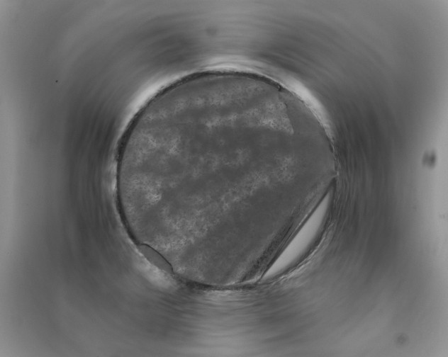 X0000090761376200708172039