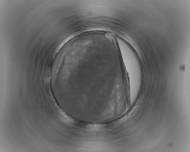 X0000090761377200708172039