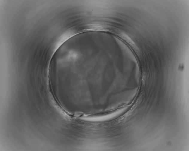 X0000090761378200708172039