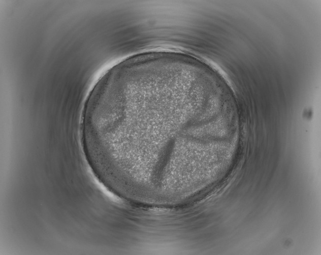 X0000090761379200708172039