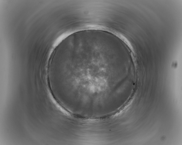 X0000090761381200708172039