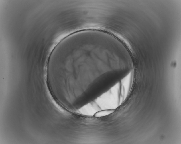 X0000090761383200708172039