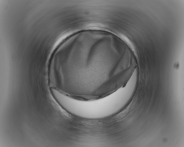 X0000090761384200708172039