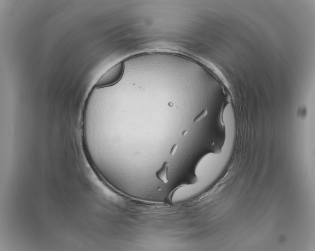 X0000090761387200708172038