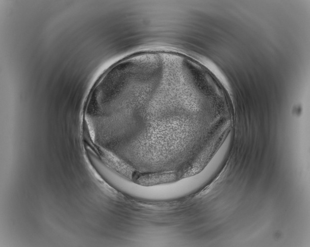 X0000090761388200708172038