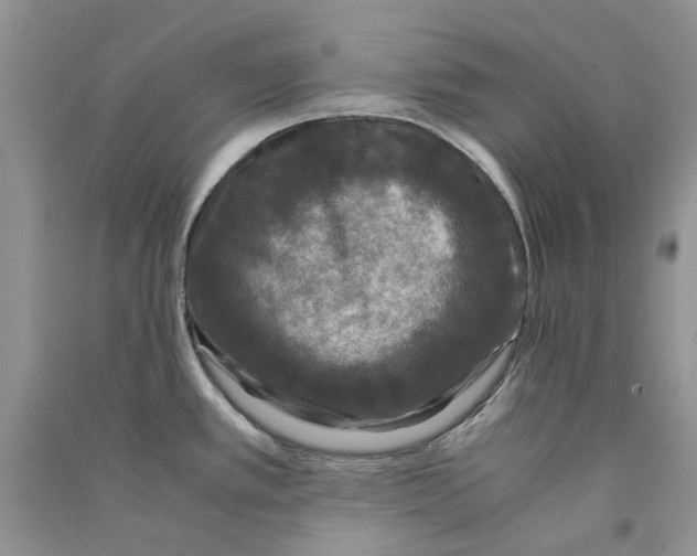 X0000090761389200708172038