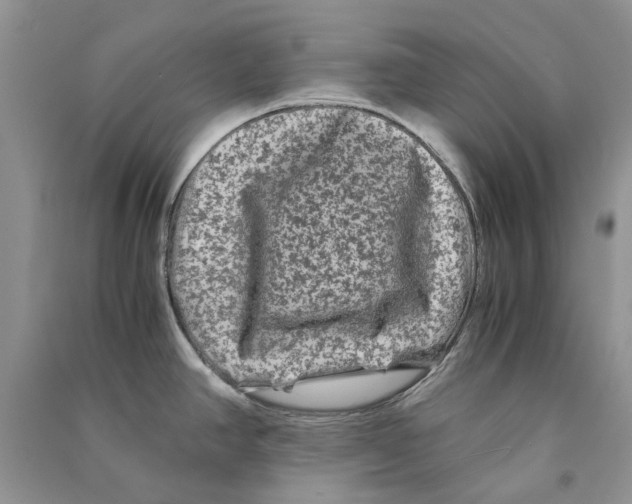 X0000090761390200708172038