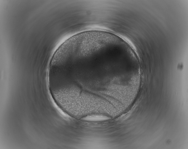 X0000090761391200708172038