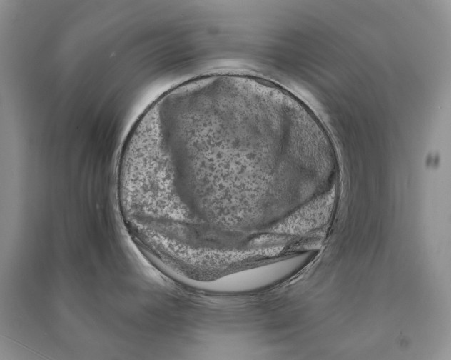 X0000090761392200708172038