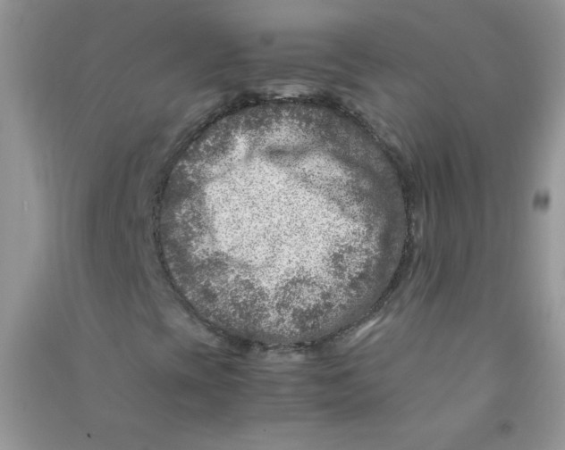 X0000090761393200708172038