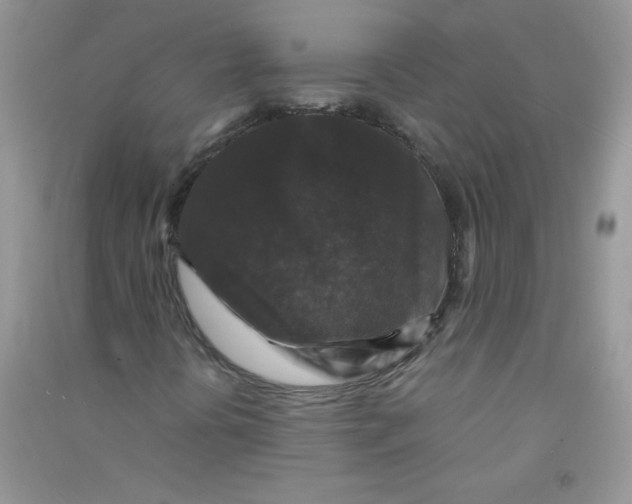 X0000090761394200708172038