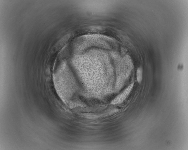 X0000090761395200708172038