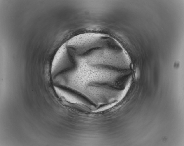 X0000090761396200708172038