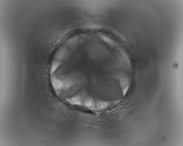 X0000090761397200708172038