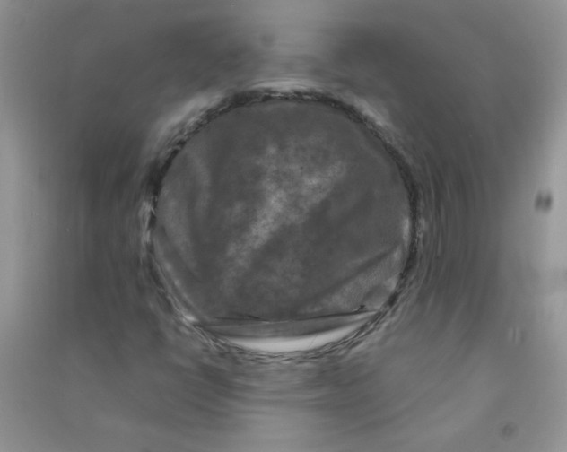 X0000090761398200708172038