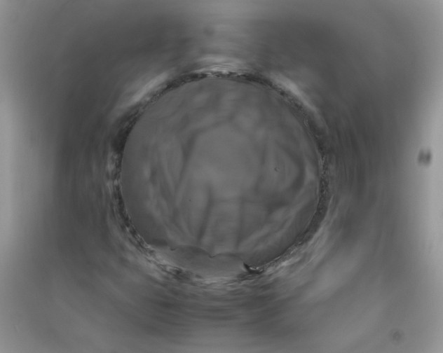 X0000090761399200708172038