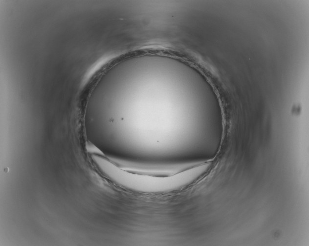 X0000090761400200708172038