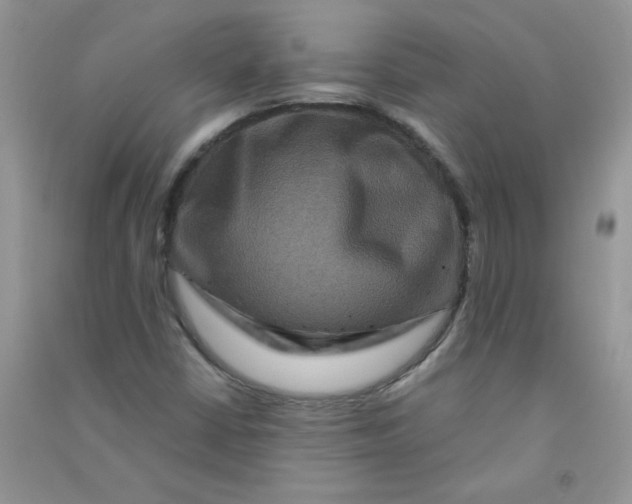 X0000090761402200708172038