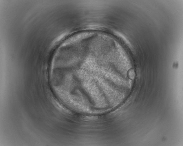 X0000090761403200708172038