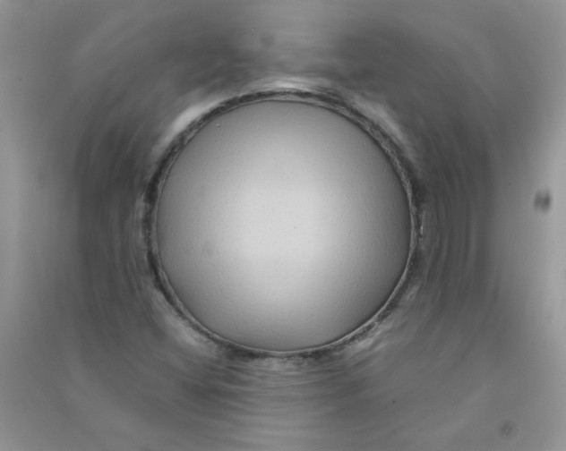 X0000090761404200708172038