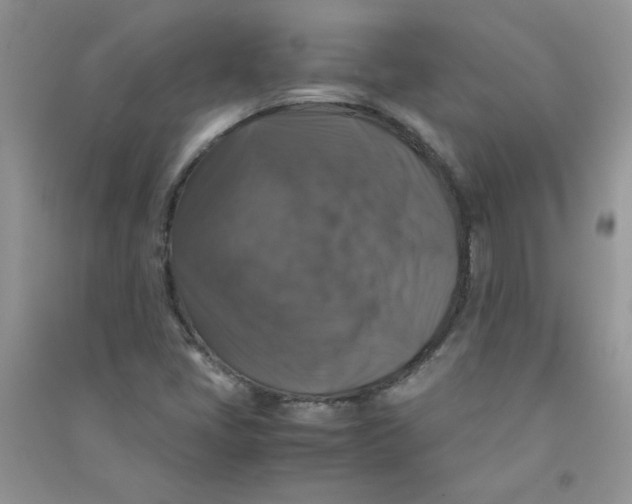 X0000090761405200708172038