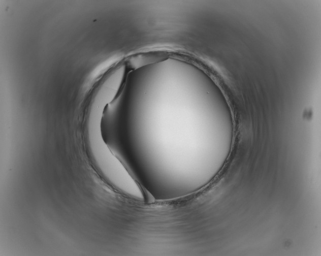 X0000090761406200708172038