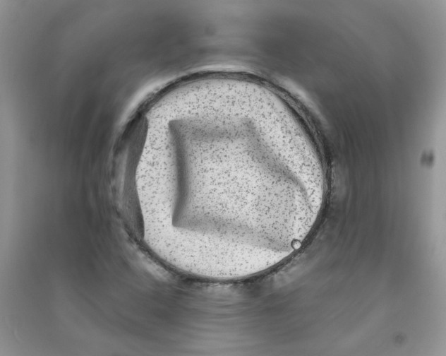 X0000090761408200708172038