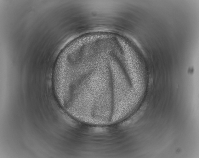 X0000090761409200708172038