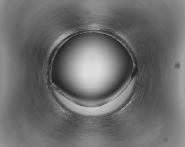 X0000090761410200708172038