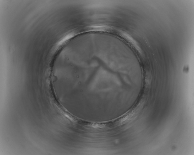 X0000090761411200708172038