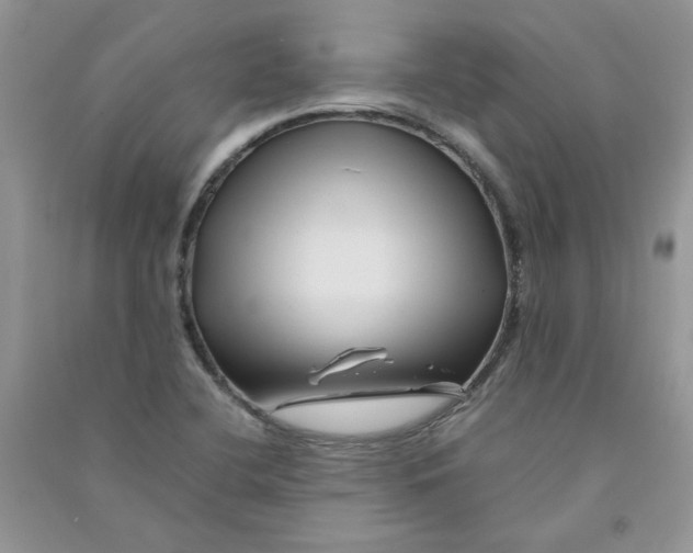 X0000090761412200708172038