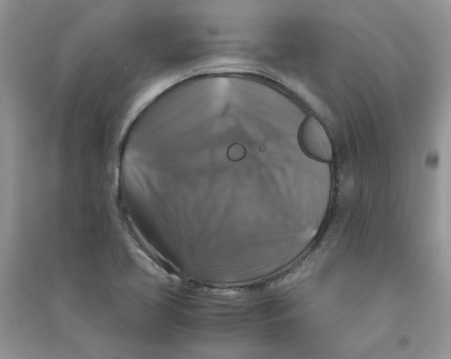 X0000090761413200708172038