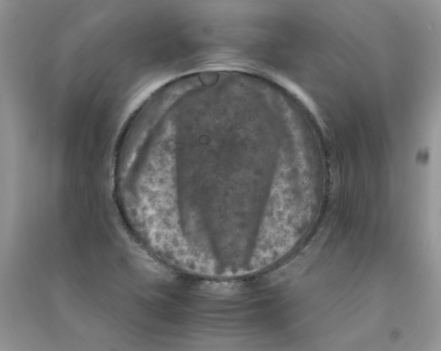 X0000090761415200708172038