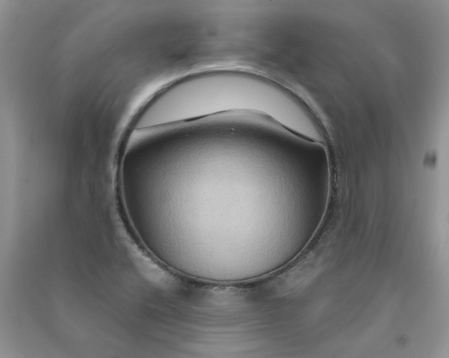 X0000090761416200708172038