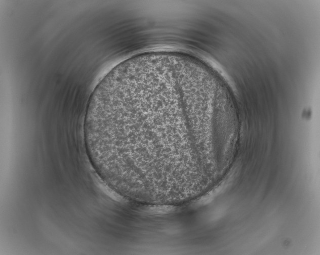 X0000090761417200708172038