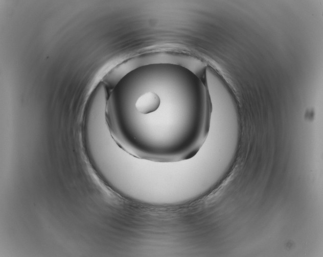 X0000090761418200708172038