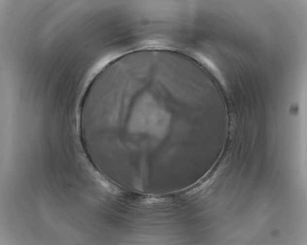 X0000090761419200708172038