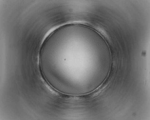 X0000090761420200708172038