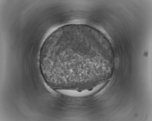 X0000090761421200708172038