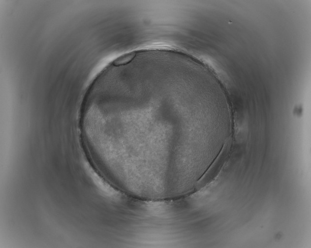 X0000090761422200708172038