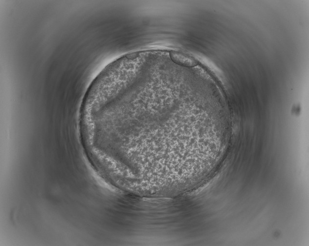 X0000090761423200708172038