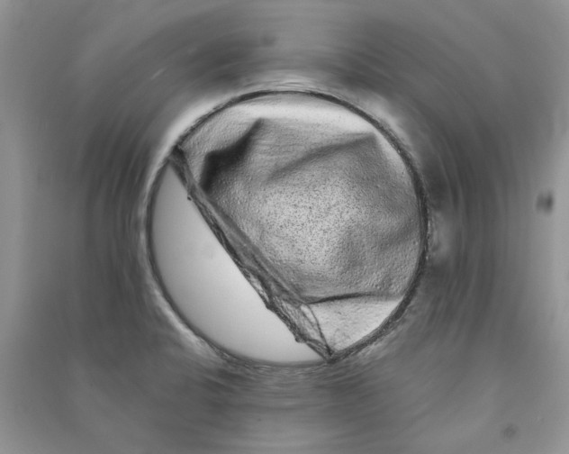 X0000090761424200708172038