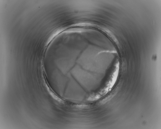 X0000090761425200708172038