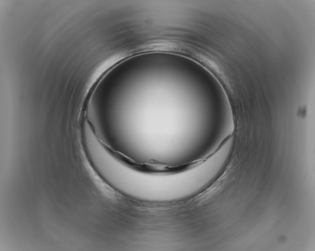 X0000090761426200708172038