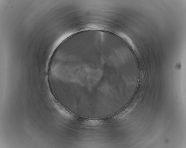 X0000090761427200708172038