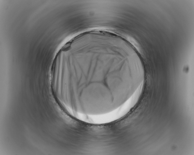 X0000090761428200708172038