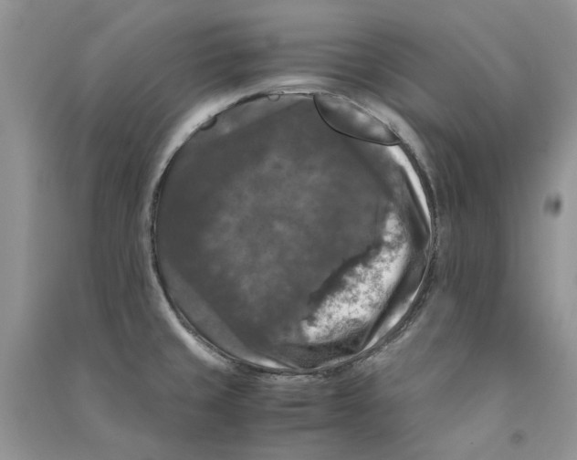 X0000090761429200708172038