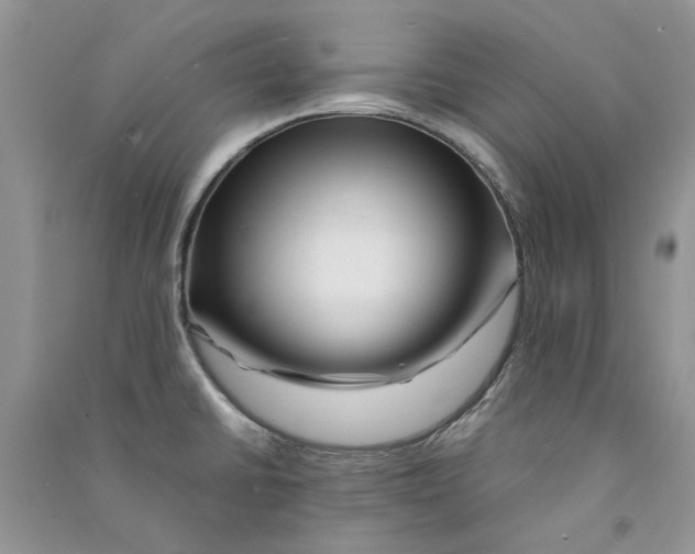 X0000090761430200708172038